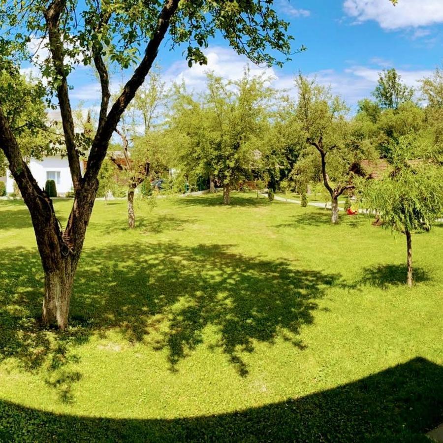 Pastravaria Alina Sirbi Exterior foto