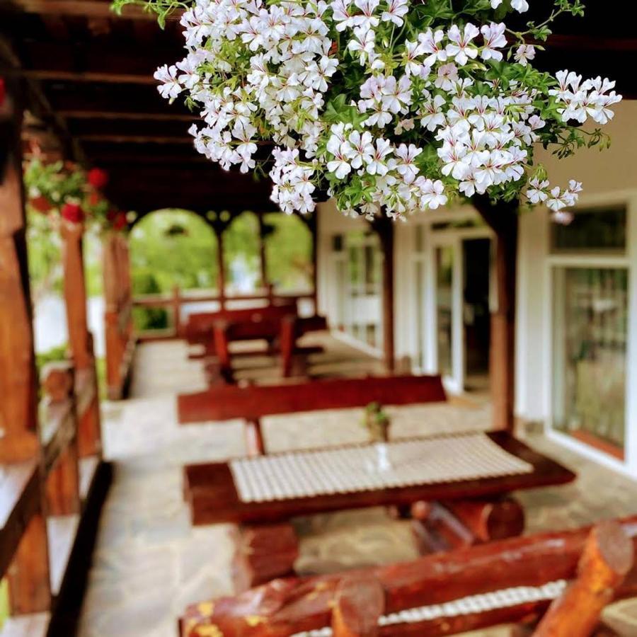 Pastravaria Alina Sirbi Exterior foto